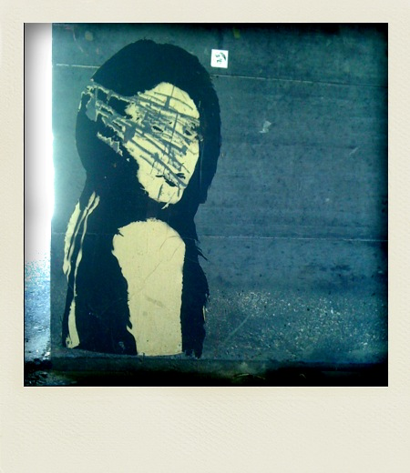 polaroid-vicaria, 2011