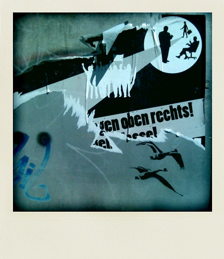 polaroid-vicaria, 2011