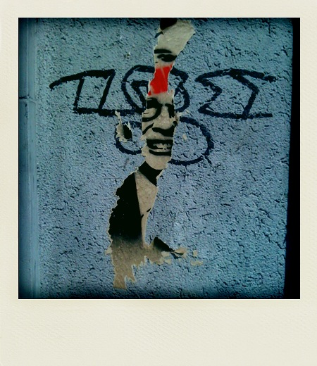 polaroid-vicaria, 2011