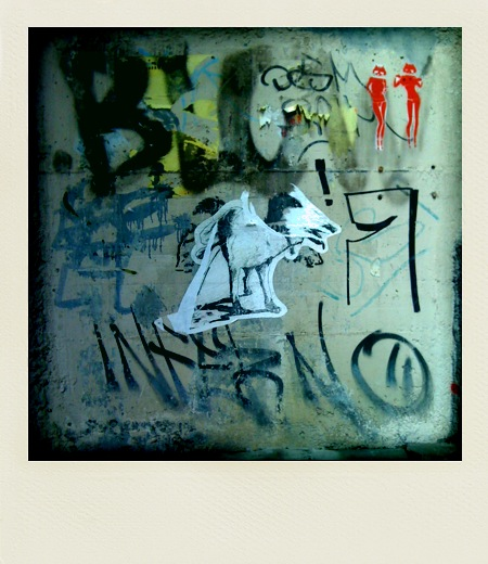 polaroid-vicaria, 2011