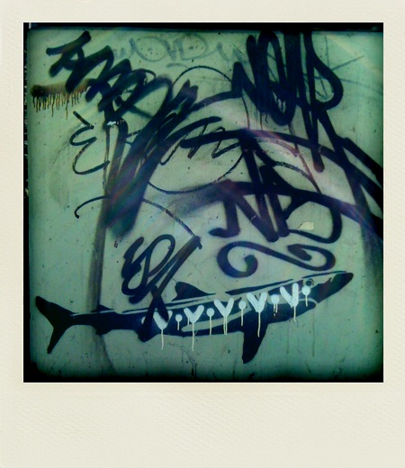 polaroid-vicaria, 2011