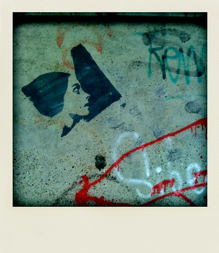 polaroid-vicaria, 2011