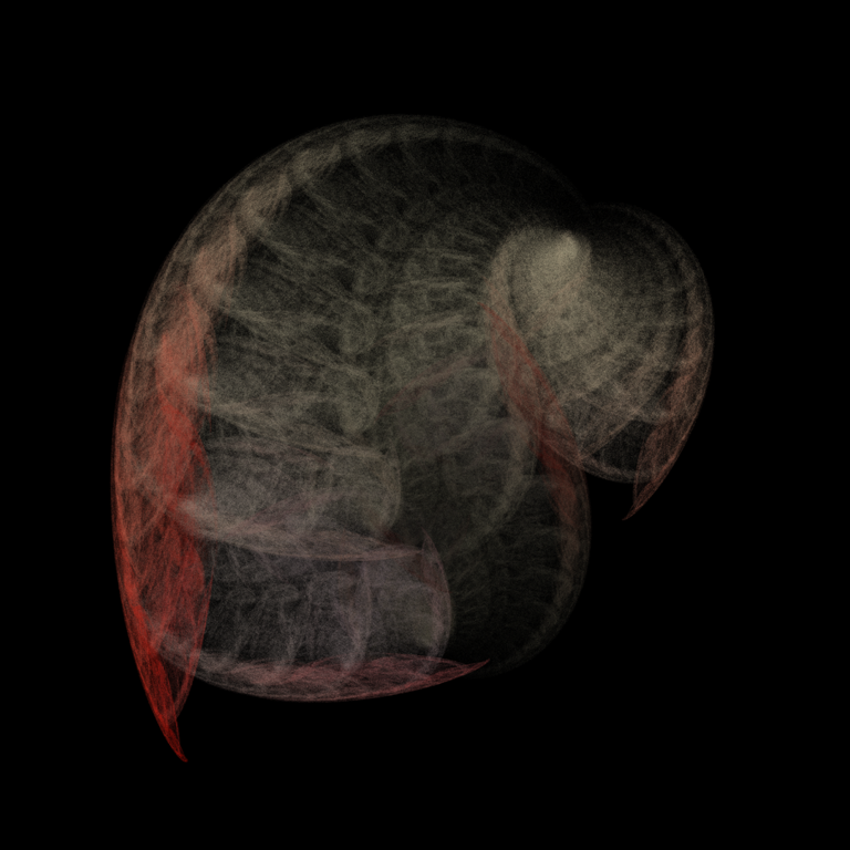 the-whole-truth, 2025